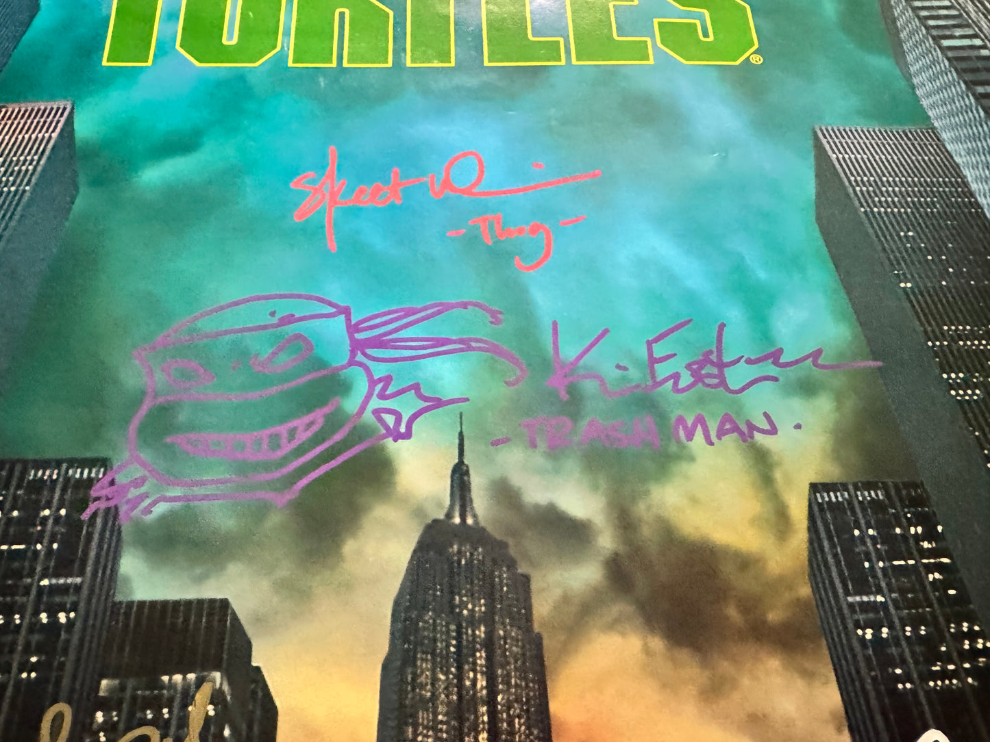 Teenage Mutant Ninja Turtles 1990 movie poster original Single sided 27x40 - Cast Signed 9x