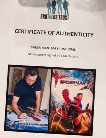 Spider-Man: No Way Home poster signed by Tom Holland with COA
