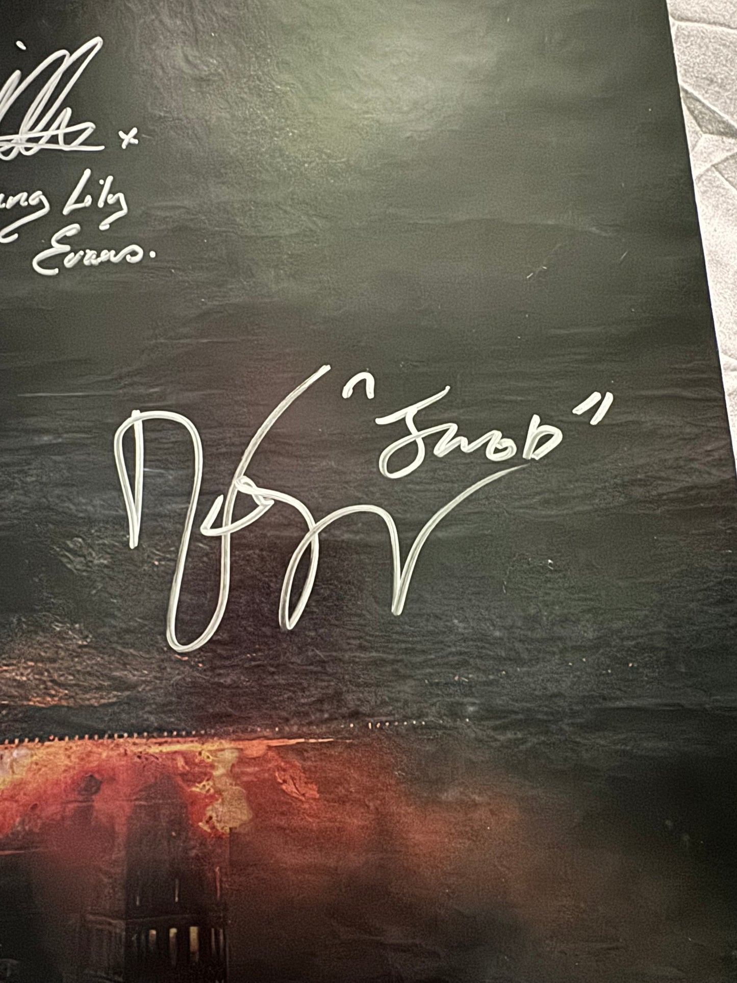 Harry Potter & the Deathly Hallows: Original Movie Poster 27x40 DS Cast Signed 11X W/COA